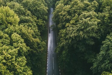 Car driving through forest